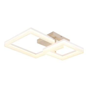 Globo - LED griestu gaismeklis LED/24W/230V 3000K 46,5x62,5 cm