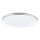 Globo - LED griestu gaismeklis LED/24W/230V