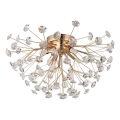 Globo - LED Griestu lampa 4xG9/3,5W/230V d. 45 cm zelta