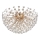 Globo - LED griestu lampa 6xG9/3,5W/230V zelta krāsā