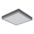 Globo - LED Griestu lampa LED/12W/230V 3000K 30x30 cm
