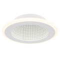 Globo - LED Griestu lampa LED/12W/230V 4000K