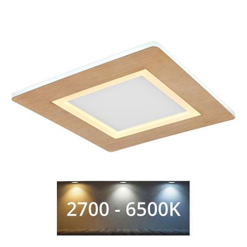 Globo - LED Griestu lampa LED/23W/230V 2700/6500K