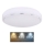 Globo - LED Griestu lampa LED/24W/230V 3000/4000/6000K d. 37,5 cm
