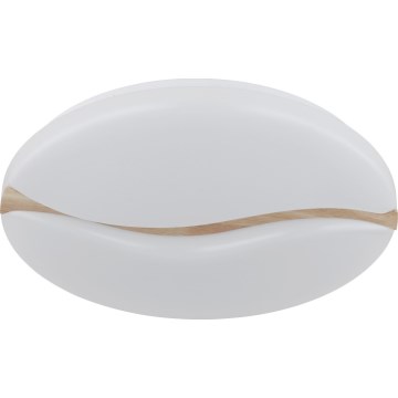 Globo - LED Griestu lampa LED/24W/230V 3000/4200/6000K d. 33 cm