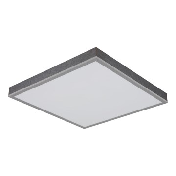 Globo - LED Griestu lampa LED/24W/230V 3000K 45x45 cm