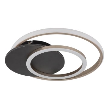 Globo - LED Griestu lampa LED/24W/230V