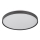 Globo - LED Griestu lampa LED/24W/230V