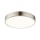 Globo - LED Griestu lampa LED/28W/230V