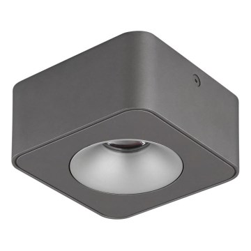 Globo - LED Griestu lampa LED/6,5W/230V 11,7x11,7 cm