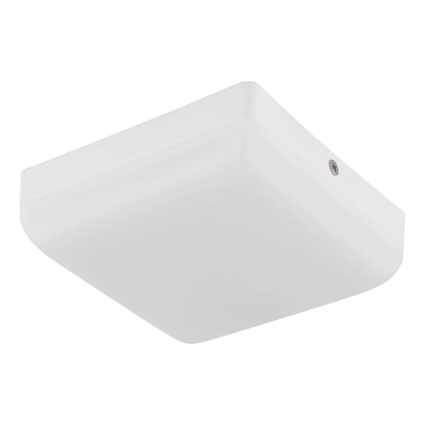Globo - LED Griestu lampa LED/8W/230V 4000K 12x12 cm balta