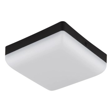Globo - LED Griestu lampa LED/8W/230V 4000K 12x12 cm melna