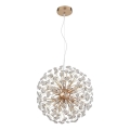 Globo - LED lustra uz troses 8xG9/3,5W/230V Ø 40 cm zelta