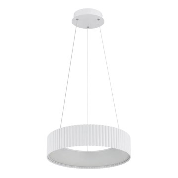 Globo - LED pakaramā lustra uz kabeļa LED/45W/230V 2700/4000/6000K Ø 46 cm balta