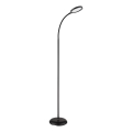 Globo - LED regulējamā skārienjūtīgā stāvlampa LED/8W/230V 2700K/4000K/6500K melna