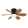 Globo - LED regulējams griestu ventilators LED/5W/230V 2700-6500K brūns + tālvadības pults