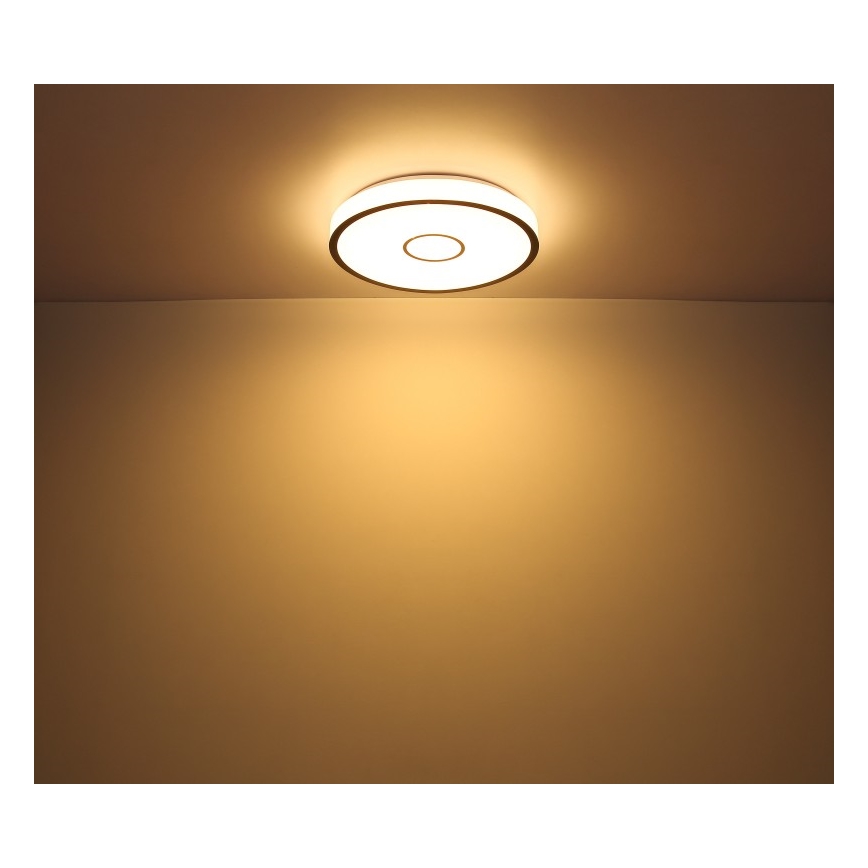 Globo - LED RGB Vannas istabas aptumšojama lampa LED/30W/230V IP44 Wi-Fi Tuya + tālvadības pults