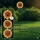 Globo - LED saules gaismeklis 200xLED/3V IP44 600 mAh zieds