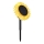 Globo - LED Saules gaismeklis LED/0,06W/3V saulespuķe IP44 800 mAh