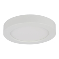 Globo - LED vannasistabas griestu lampa LED/18W/230V IP44