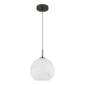 Globo - Pakaramā lustra uz kabeļa 1xE27/60W/230V Ø 25 cm