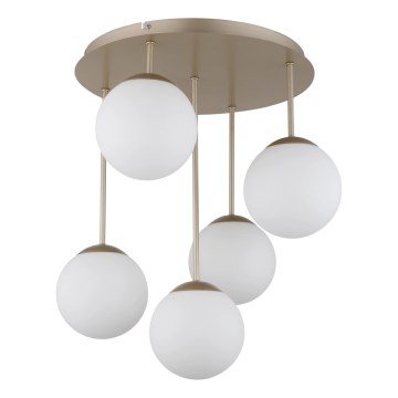 Globo - Virsmas montējamā griestu lustra 5xE14/25W/230V misiņš