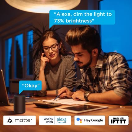Govee - komplekts 2x LED regulējamas spuldzes Smart MATTER A60 E27/9W/230V 2700-6500K Wi-Fi