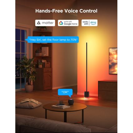 Govee - LED Aptumšojama grīdas stāvlampa Smart MATTER LED RGBICWW 2200-6500K Wi-Fi + tālvadības pults