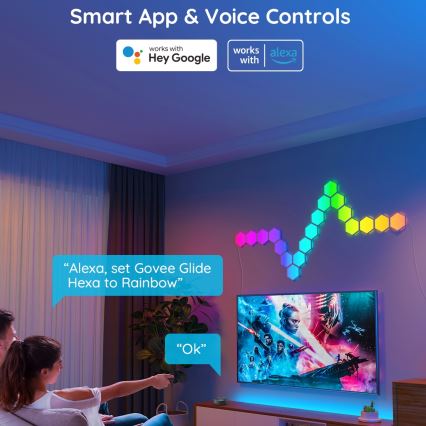 Govee - Pagarinātāja komplekts 2x LED RGB Aptumšojams panelis LED/7,2W/230V Wi-Fi