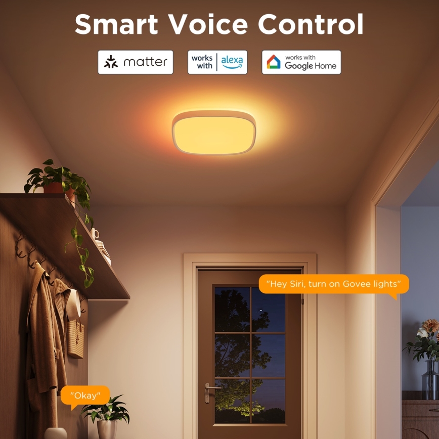 Govee - LED RGBIC Aptumšojama griestu lampa LED/24W/230V 2700-6500K Wi-Fi