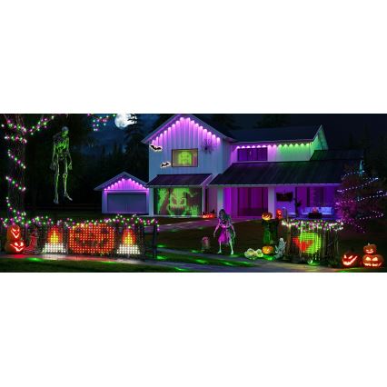 Govee - LED RGBIC Āra apgaismojuma tīkls 143x85cm Wi-Fi Matter IP65