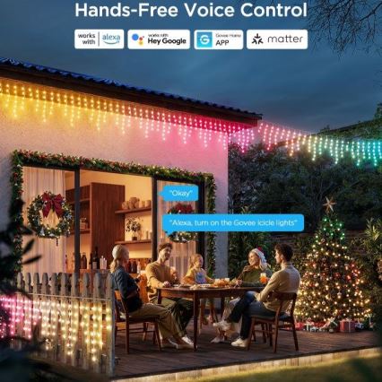 Govee - LED RGBIC Āra virtene Viedā leduspuķes 10m Wi-Fi Matter IP65