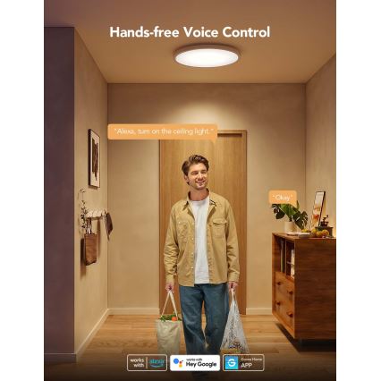 Govee - LED RGBICWW aptumšojams griestu gaismeklis, LED 29 W, 230 V, Ø 30 cm, Matter, Wi‑Fi