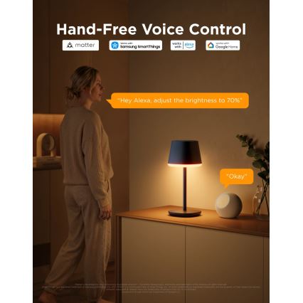 Govee - LED RGBICWW Regulējama galda lampa CLASSIC MATTER LED/10W/5V 4800mAh Wi-Fi