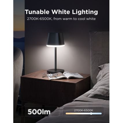 Govee - LED RGBICWW Regulējama galda lampa CLASSIC MATTER LED/10W/5V 4800mAh Wi-Fi
