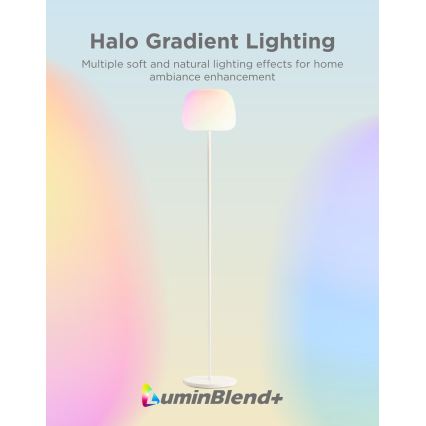 Govee - LED RGBICWW regulējama stāvlampa LANTERN MATTER LED/24W/230V Wi-Fi 160 cm