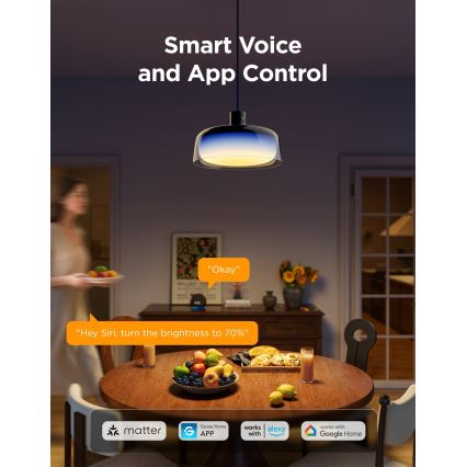 Govee - LED RGBICWW regulējama lustra uz troses LED/21W/230V Matter Wi‑Fi