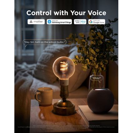 Govee - LED RGBWW regulējamā spuldze Smart MATTER G80 E27/5W/230V 2700-6500K Wi-Fi