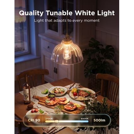 Govee - LED RGBWW Dimējama spuldze Smart MATTER ST64 E27/5W/230V 2700-6500K Wi-Fi