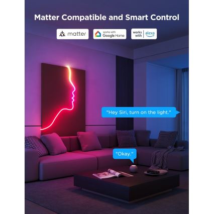 Govee - Neon 2 MATTER elastīga LED lente 3m RGBIC Wi-Fi
