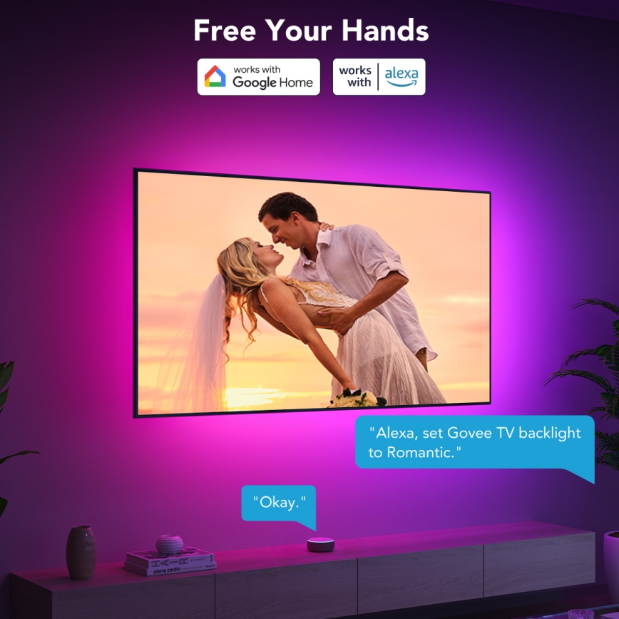 Govee - TV 40-50 SMART LED fona apgaismojums RGBIC Wi-Fi