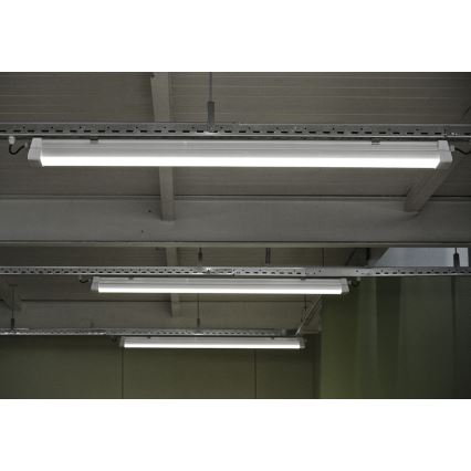 Greenlux GXWP381 - LED Lielas slodzes dienasgaismas lampa DUST PROFI MILK LED/53W/230V 4000K IP66