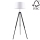 Grīdas stāvlampa TRIPOD 1xE27/60W/230V dižskābardis - FSC sertifikāts