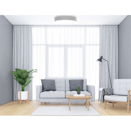 Griestu lampa CLEO ar kustības un krēslas sensoru, 5xE27/24W/230V, Ø 60 cm, pelēka