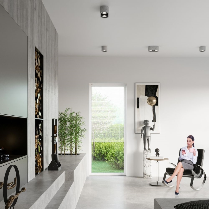 Griestu gaismeklis BASIC AR111 2xGU10/40W/230V betona