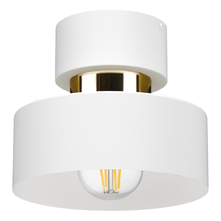 Griestu gaismeklis IGNIA 1xE27/60W/230V balts