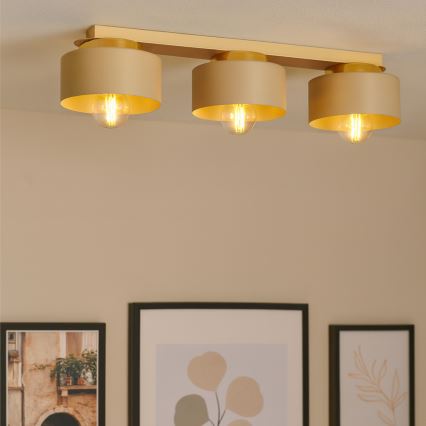 Griestu gaismeklis IGNIA 3xE27/60W/230V brūngpelēks