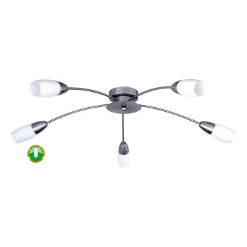 Griestu gaismeklis PROXI PLUS 5xE14/9W/230V