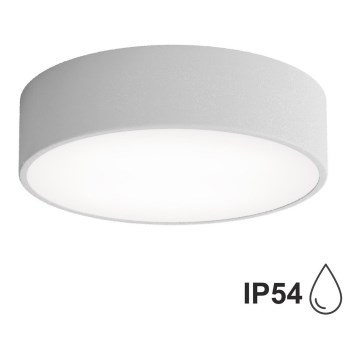 Griestu gaismeklis vannas istabai ar sensoru CLEO, 2xE27/24W/230V, Ø 30 cm, pelēks, IP54