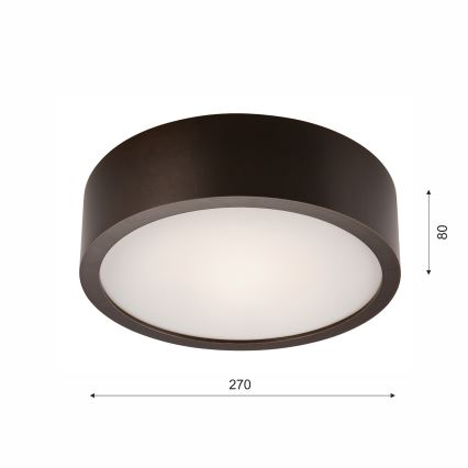 Griestu lampa 1xE27/60W/230V priede - FSC sertificēts